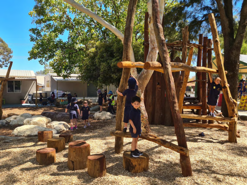 Stepper walk, balance logs, rocks