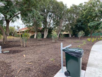Mulched garden beds