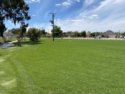 Expanse of green grass