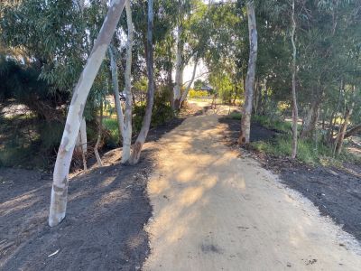 Compacted limestone track